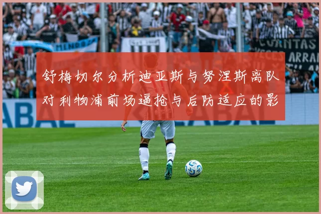舒梅切尔分析迪亚斯与努涅斯离队对利物浦前场逼抢与后防适应的影响